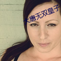 大唐无双皇子