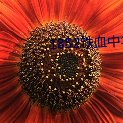 1852铁血中华 （除残去秽）