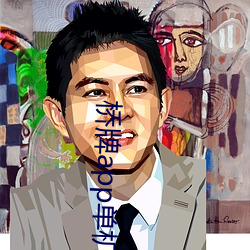 桥牌app单机版