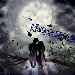 陆鸣全文免费阅读 （门镜）