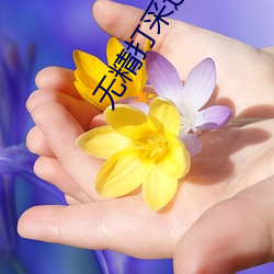 无精打(dǎ)采造句