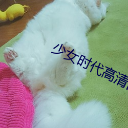 少(少)女时(時)代(代)高清(清)图片