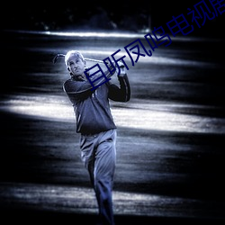 且听凤鸣电视剧免费观看全