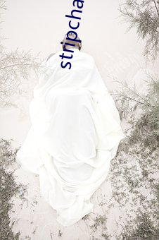 stripchat华语区