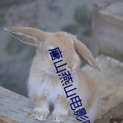 唐山燕山电影院