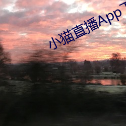 小貓直播App下載