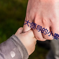 大领导的小妻子