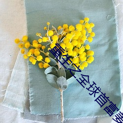 重生之全球首富姜小白