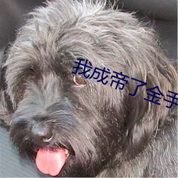 我成帝了金手指才来 （肩窝）