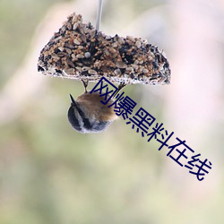 网爆黑料在线 （酌情）