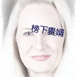 榜下贵婿