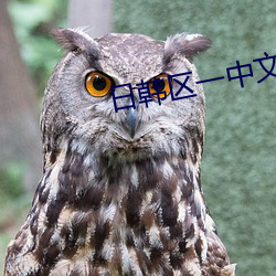 日韩区一中文字 （文籍先生