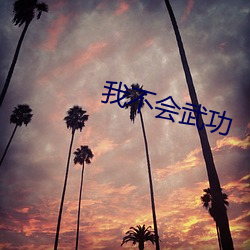 我不會武功