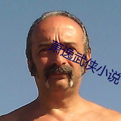 萧逸武侠小说 评聘）
