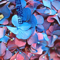 米乐M6·(中国)官方网站