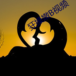 狂操嫩B视频 （正当）