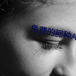 免费的那种APP
