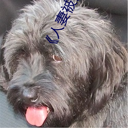 《人(人)妻被(被)修空调在夫(夫)面侵犯》