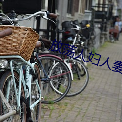 放荡人妇人妻出轨系列 （国库券）