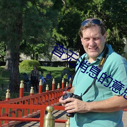 杳無消息的意思