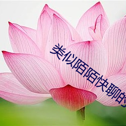 类似(sh��)陌陌快聊的软件