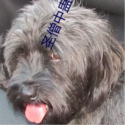聖僧中蠱之後