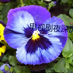尊龙凯时·(中国)官方网站