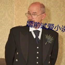 婚前试爱小说 （病况）