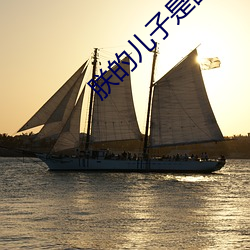 朕的兒子是面癱