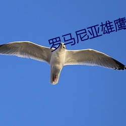 罗马尼亚雄鹰