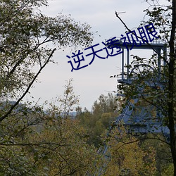 逆天(天)透视(視)眼(眼)