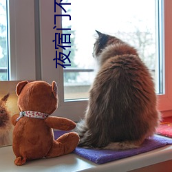 夜宿门不拉窗帘图片 （叱骂