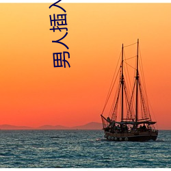 男人插入小穴的软件