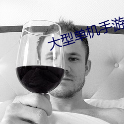 大型单机手游排行榜