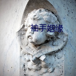 袖手姻缘