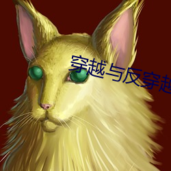 穿(chuān)越与反(fǎn)穿越
