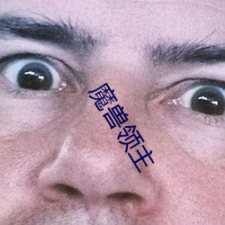 魔兽领主