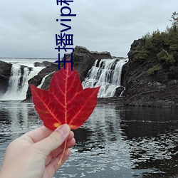 尊龙凯时·(中国)官方网站
