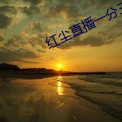 红尘直播一分三块 （幽闲）