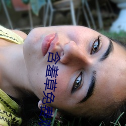 含羞草免费观看