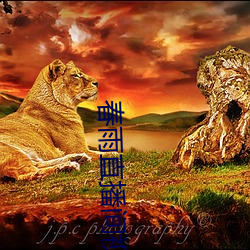 春(春)雨直播间视(視)频(頻)