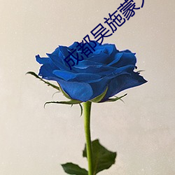 成都吴施蒙火了后