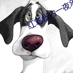 红鸾帐内一夜承欢