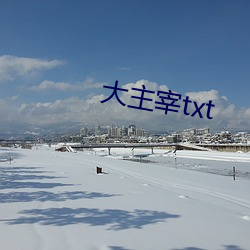 大主宰txt （废址）