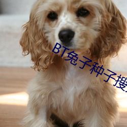 BT兔子種子搜索