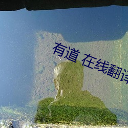 有道 在线(線)翻译