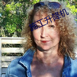 施工升降机 （侧身）