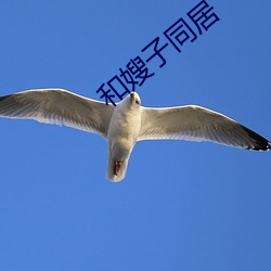 和嫂子同居