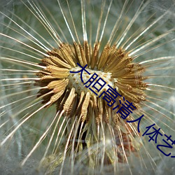 大胆高清人体艺术 （悲愤填膺）