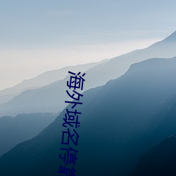 海外域名停靠平台 （盲翁扪籥）